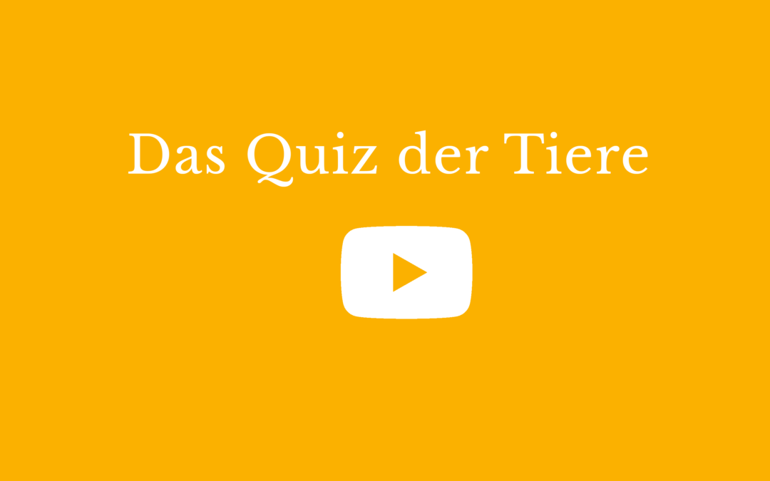 Das Quiz der Tiere